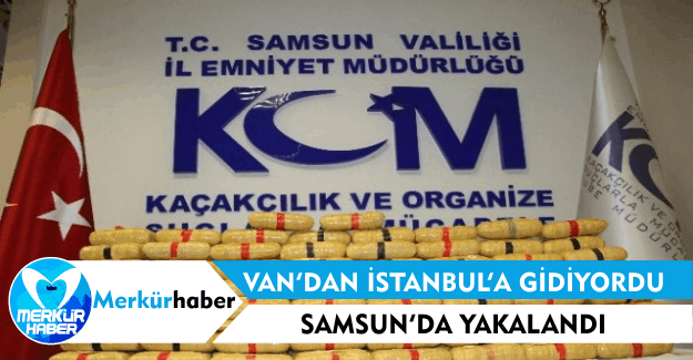 Van'dan İstanbul'a Gidiyordu,Samsun'da Yakalandı