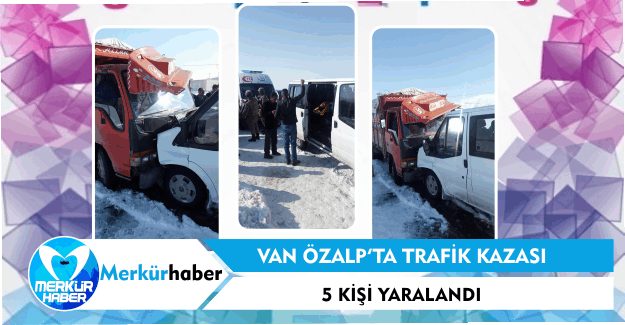 Van Özalp'ta Trafik Kazası