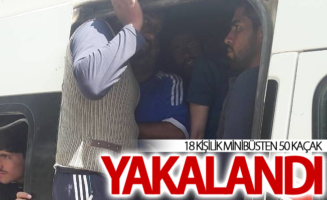 Van’da 18 kişilik minibüste 50 kaçak göçmen yakalandı